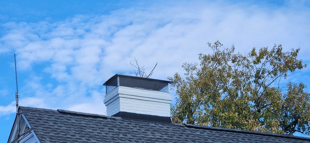 Chimney work in Canton, Baltimore City by Baltimore Chimneys